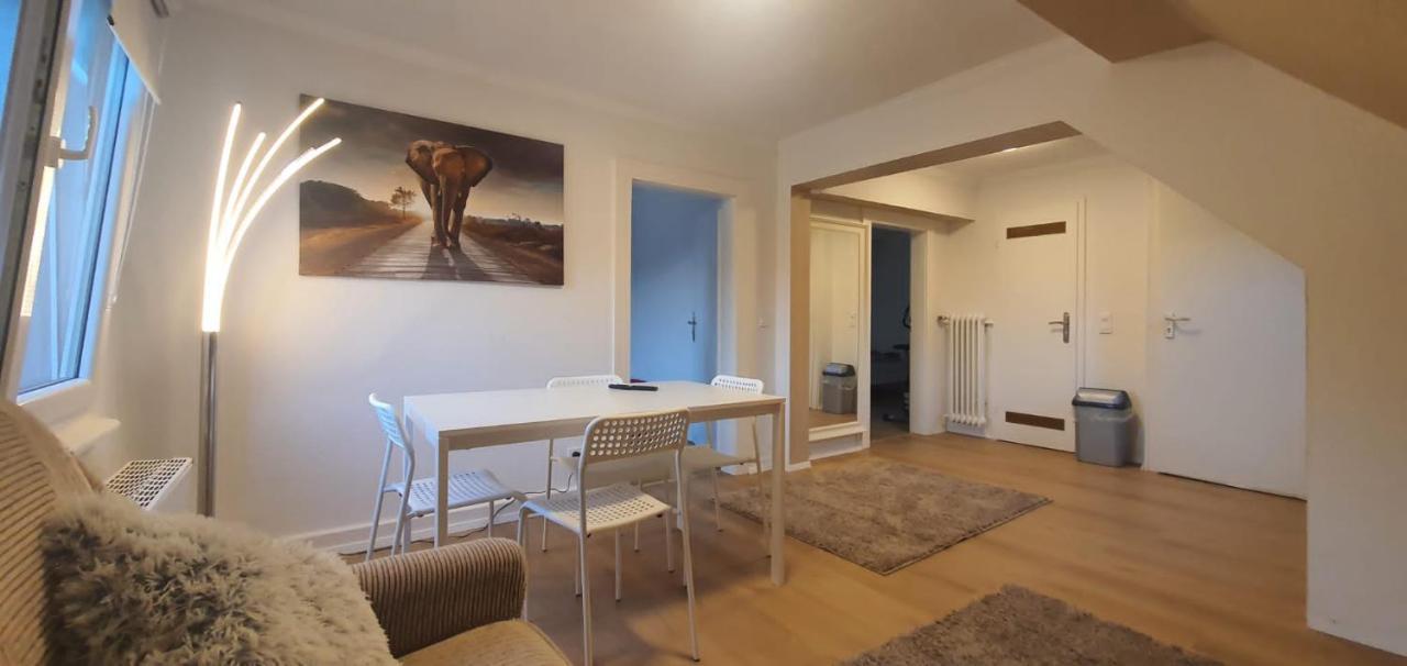 Hotel Garni Steinbacher Tal ハイデルベルク エクステリア 写真