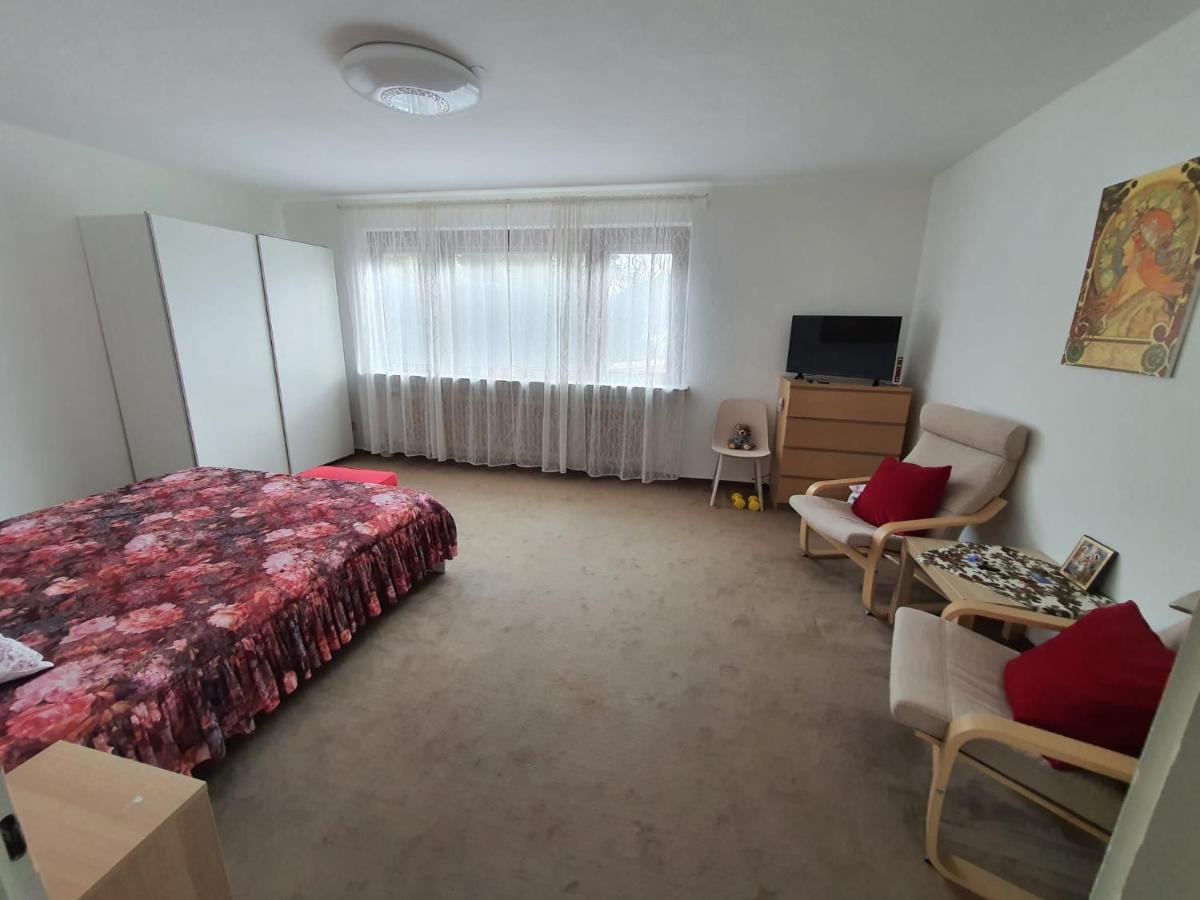 Hotel Garni Steinbacher Tal ハイデルベルク エクステリア 写真