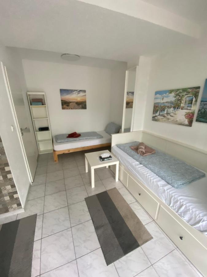 Hotel Garni Steinbacher Tal ハイデルベルク エクステリア 写真